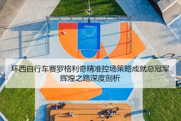 huan-xi-zi-xing-che-sai-luo-ge-li-qi-jing-zhun-kong-chang-ce-lve-cheng-jiu-zong-guan-jun-hui-huang-zhi-lu-shen-du-pou-xi-3-905.jpg