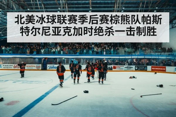 北美冰球联赛季后赛棕熊队帕斯特尔尼亚克加时绝杀一击制胜