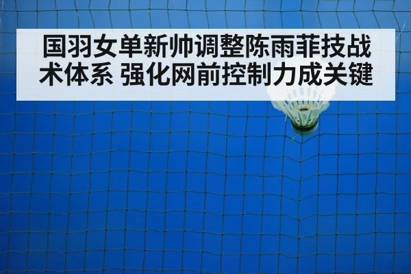 badminton net shot